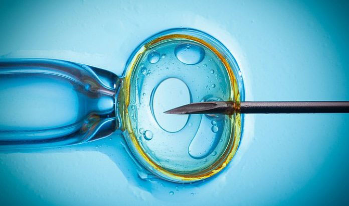 kıbrıs embriyo transferi