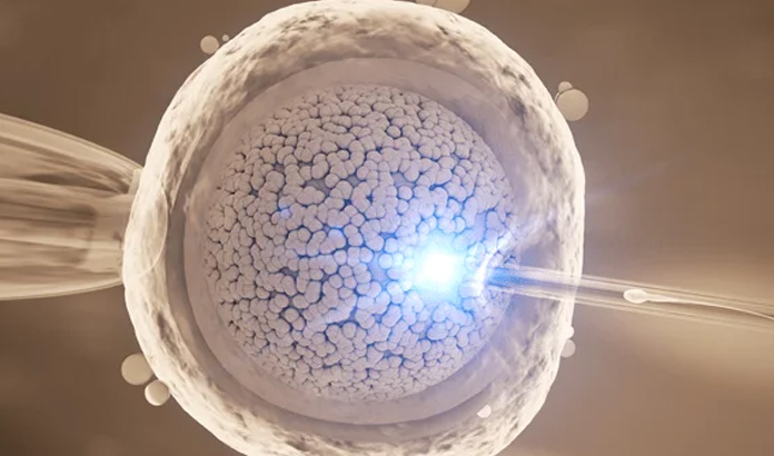 embriyo donasyonunda donör ve alıcı seçimi: süreçler ve kriterler