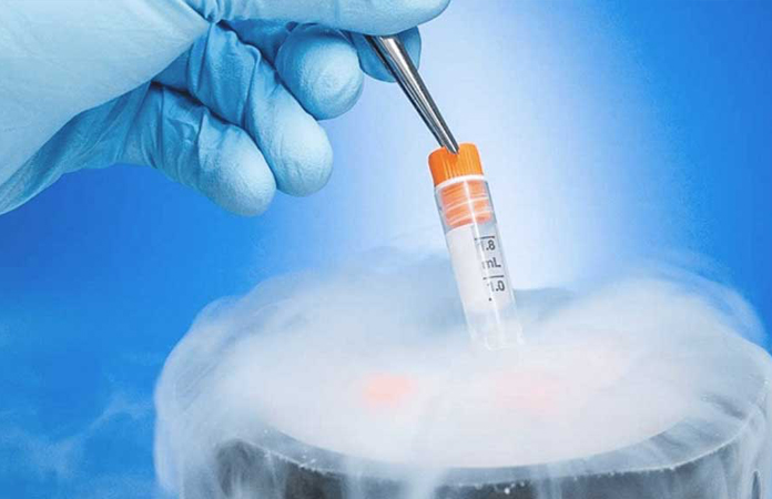 donmuş embriyo transferi